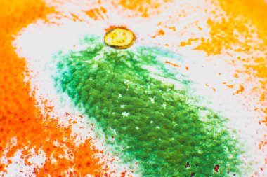 Küflü portakal meyvesi. Çürük greyfurt. Kötü koruma koşulları. Yaklaş, berbat yemek. Mantar hastalığı.