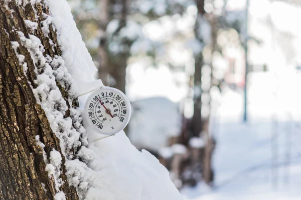 Θα έρθει η άνοιξη. Γύρου αναλογικό θερμόμετρο που τοποθετείται σε ένα δέντρο έξω από εμφανίζει ήπιες χειμερινές θερμοκρασίες. — Φωτογραφία Αρχείου