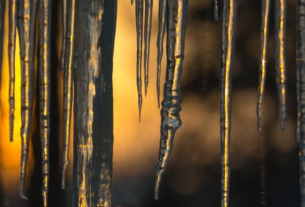 Achtergrond van de ochtendzon aanbreken op ijspegels laag opknoping van een dakrand. Abstract van natuurlijke icicle formatie, verlicht door sunrise, door glas. — Stockfoto