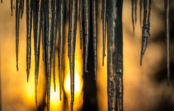 Achtergrond van de ochtendzon aanbreken op ijspegels laag opknoping van een dakrand. Abstract van natuurlijke icicle formatie, verlicht door sunrise, door glas. — Stockfoto