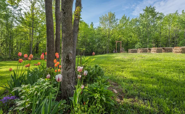 Pelouse ombragée devant le jardin de tulipes, préparée pour un mariage simple à la campagne . — Photo