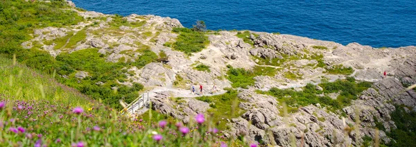 Bright summer day - people go hiking along the Cabott Trail in St. John\'s Newfoundland, Canada.