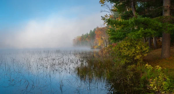 Mistige ochtend cottage lake. — Stockfoto