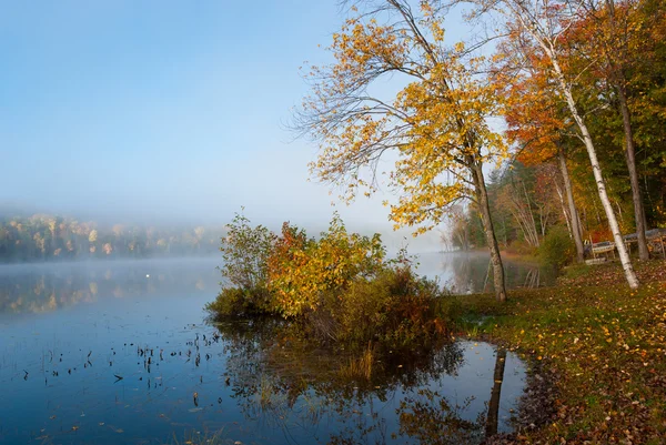 Podzimní stromy a keře Ukázat jejich barvu na mlhavé ráno na jezeře. — Stock fotografie