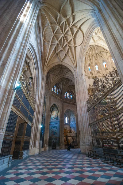 Segovia İspanya Katedrali. — Stok fotoğraf