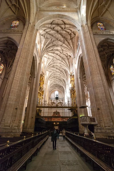 Segovia İspanya Katedrali. — Stok fotoğraf
