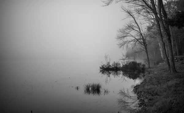 在渥太华，安大略省附近的一个湖上的晨雾. — 图库照片