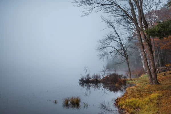 Ранним утром туман на озере недалеко от Оттавы, Онтарио . — стоковое фото