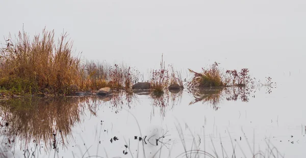 Early morning fog on a lake near Ottawa, Ontario. — Stock Photo, Image