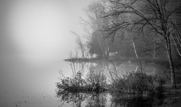 Vroege ochtend mist op een meer in de buurt van Ottawa, Ontario. — Stockfoto