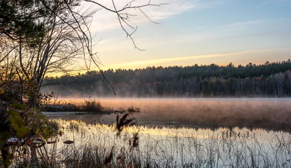 Misty Lake svítání názory se mlha, stoupající z teplé vody do chladného vzduchu. — Stock fotografie