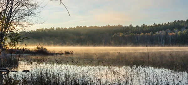 Misty Lake svítání názory se mlha, stoupající z teplé vody do chladného vzduchu. — Stock fotografie
