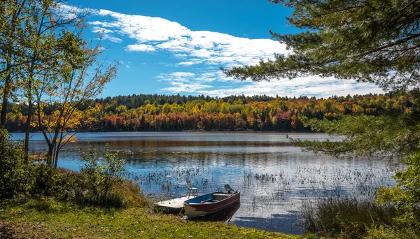 Autumn color shines on the lake and in the forest  in late September. — Stock Photo, Image