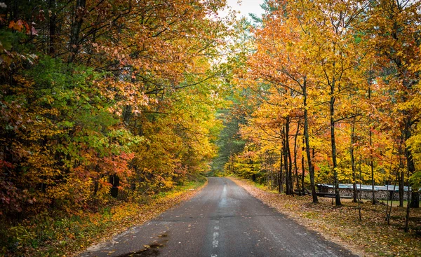 Obszarów wiejskich drogach wyłożone kolorowy autumn drzewa. — Zdjęcie stockowe