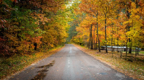 Caminos rurales bordeados de coloridos árboles otoñales . — Foto de Stock