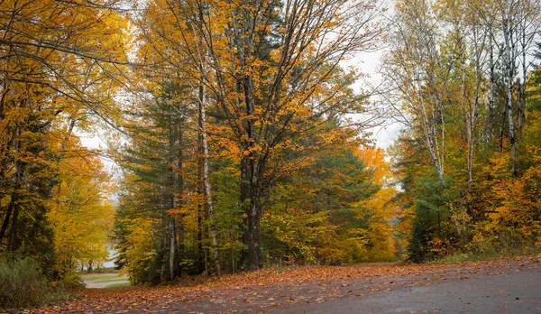 Landstraßen gesäumt von bunten Herbstbäumen. — Stockfoto