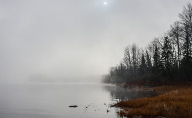 Karanlık ormanın yanında Göl sahil hattı boyunca dağınık parlak güneş ışığı ile su üzerinde ağır sis.
