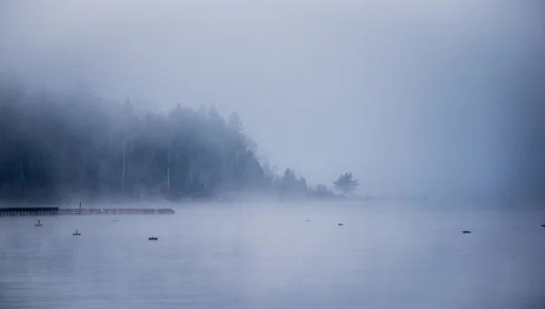 Niebla pesada que envuelve el bosque peninsular - niebla que se eleva del azul . —  Fotos de Stock