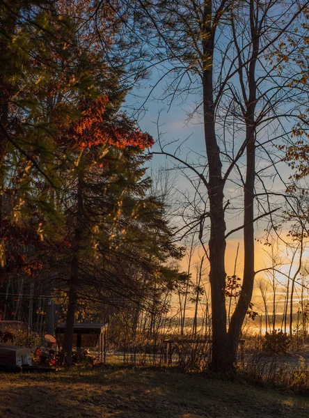 Alba attraverso alberi autunnali nel cortile sul lago . — Foto Stock