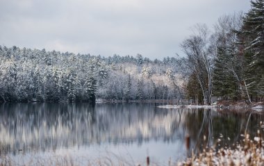 Kış Mirage göl kenarında. Hafif Dondurucu hafif bulutlu gri Kasım gökyüzü altında. Waterfront orman yansımaları.