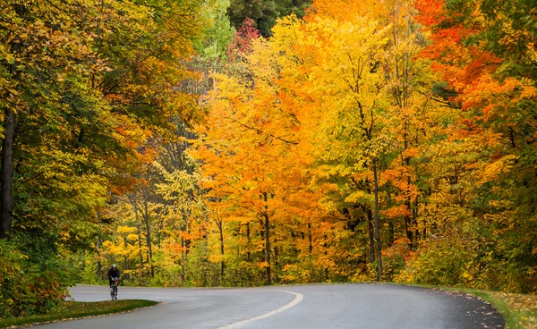 Ein Radfahrer fährt Ende September auf Landstraßen durch bunte Wälder. — Stockfoto