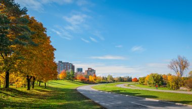 Sonbahar öğleden sonra güneş gezi boyunca nehir parkway döşeli yollar sarma - Ottawa telafi.