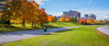 Sonbahar öğleden sonra güneş gezi boyunca nehir parkway döşeli yollar sarma - Ottawa telafi.