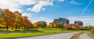 Sonbahar öğleden sonra güneş gezi boyunca nehir parkway döşeli yollar sarma - Ottawa telafi.