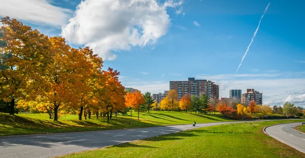 Ottawa ao longo do parkway riverside - estradas pavimentadas sinuosas fazem para um passeio no sol da tarde do outono . — Fotografia de Stock