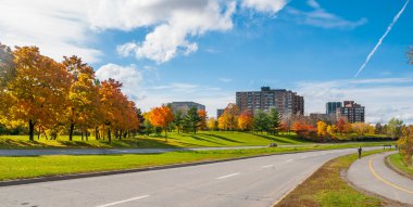 Sonbahar öğleden sonra güneş gezi boyunca nehir parkway döşeli yollar sarma - Ottawa telafi.