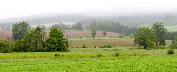 Rolling hills, fields and meadows under foggy low cloud cover,  Greenwood, Nova Scotia. — Stock Photo, Image