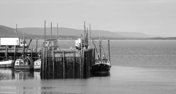 Boats in the harbour at low tide in Digby, Nova Scotia. — Stock Photo, Image