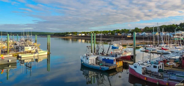 Båtar i hamnen vid lågvatten i Digby, Nova Scotia. — Stockfoto