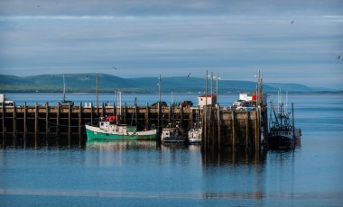 Düşük tide Digby, Nova Scotia limanda balıkçı tekneleri.