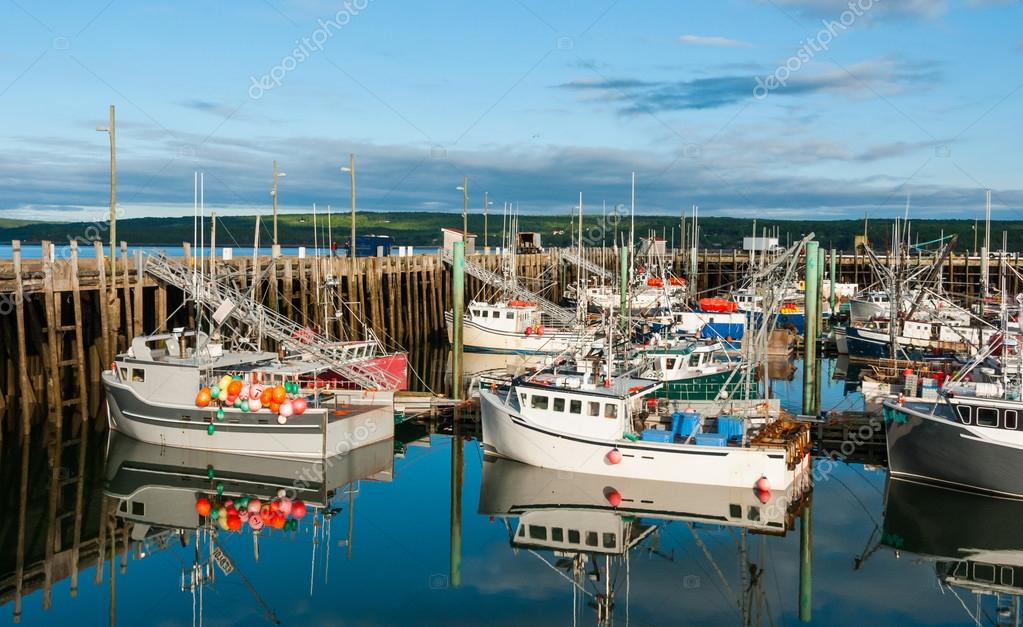 Barche Da Pesca Nel Porto Durante La Bassa Marea A Digby - 
