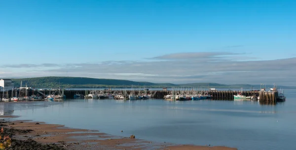 Fishing boats in the harbour at low tide in Digby, Nova Scotia. — Stock Photo, Image