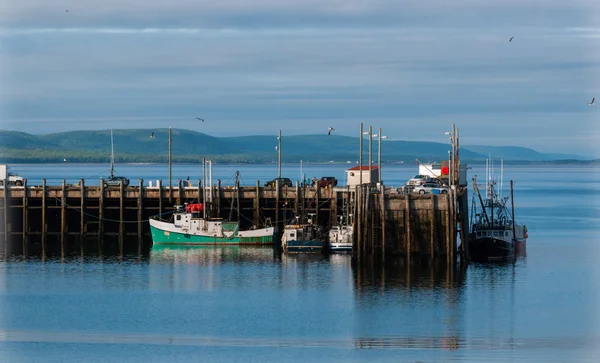 Fishing boats in the harbour at low tide in Digby, Nova Scotia. — Stock Photo, Image