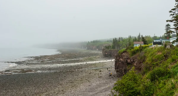 Springtime Nova Scotia coastline in June fog, people at base of cliff exploring the pebble beaches. — Stock Photo, Image