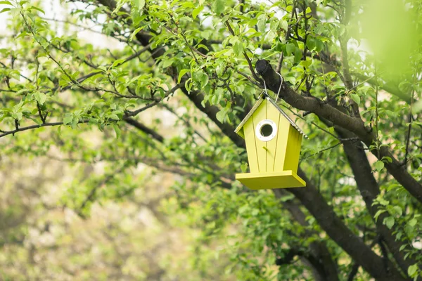 Zielony birdhouse zwisające z drzewa — Zdjęcie stockowe