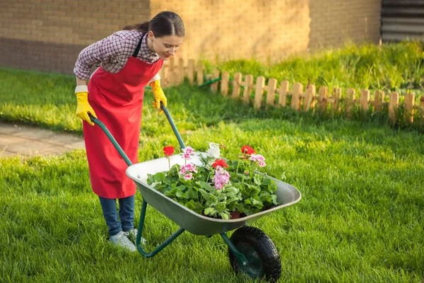 Tuinman met bloemen in kruiwagen — Stockfoto