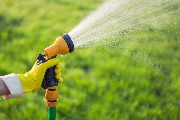 Hand mit Gartenschlauch Pflanzen gießen — Stockfoto