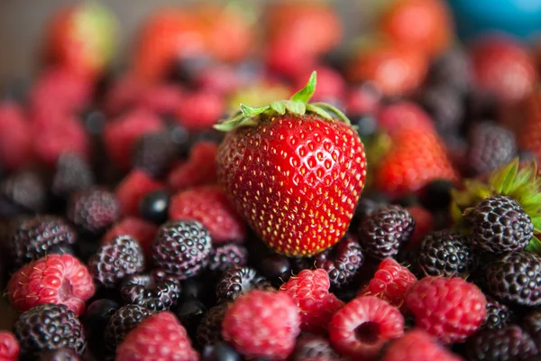 Big ripe strawberry — Stock Photo, Image