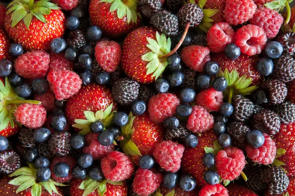 Big ripe strawberry — Stock Photo, Image