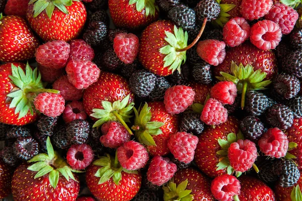 Big ripe strawberry — Stock Photo, Image