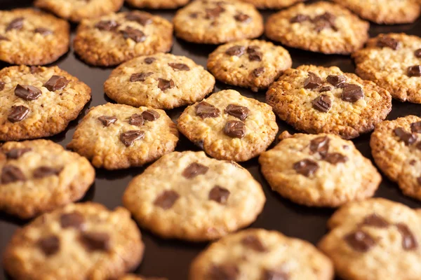 Chocoladekoekjes — Stockfoto