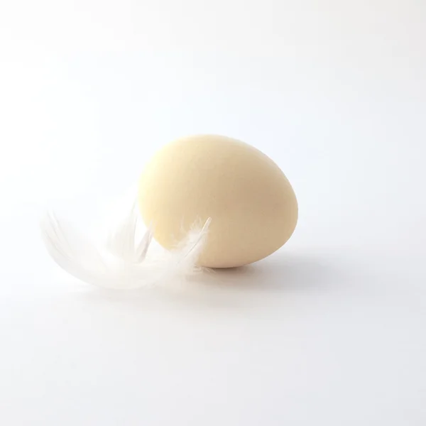 Huevo sobre fondo wite — Foto de Stock