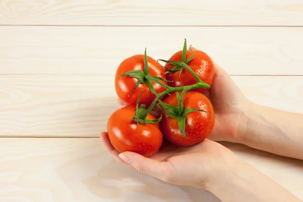 Tomates maduros — Fotografia de Stock