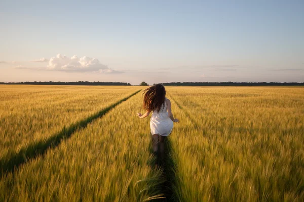 Woman run  in yellow wheat field — Zdjęcie stockowe