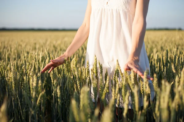 Mädchen berührt Weizen — Stockfoto