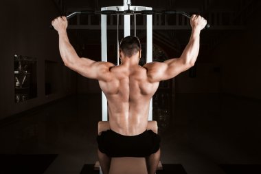muscular bodybuilder training back 